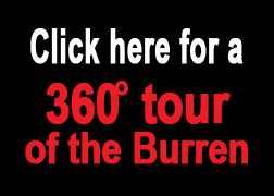 360